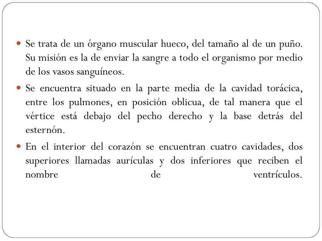 Se trata de un órgano muscular hueco, del tamaño al de un puño