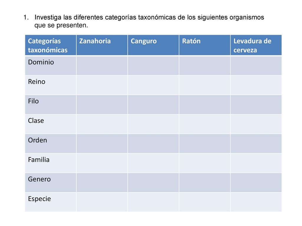 Categorías taxonómicas Zanahoria Canguro Ratón Levadura de cerveza