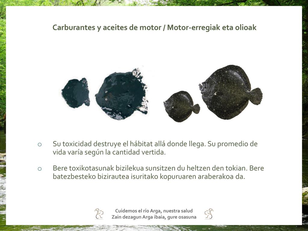Carburantes y aceites de motor / Motor-erregiak eta olioak