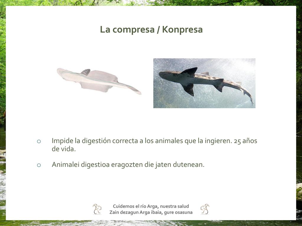 La compresa / Konpresa Impide la digestión correcta a los animales que la ingieren. 25 años de vida.