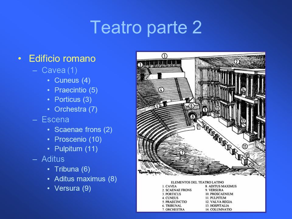 Teatro parte 2 Edificio romano Cavea (1) Escena Aditus Cuneus (4)