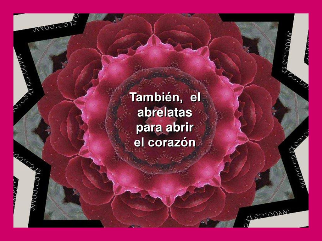 También, el abrelatas para abrir el corazón