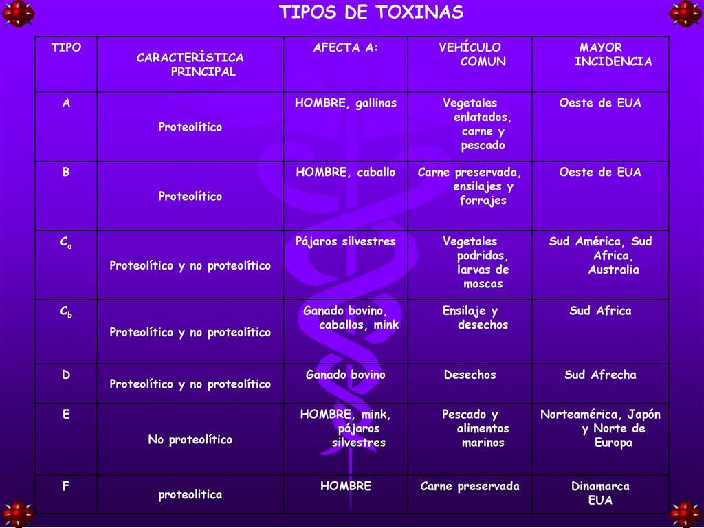 TIPOS DE TOXINAS TIPO CARACTERÍSTICA PRINCIPAL AFECTA A: