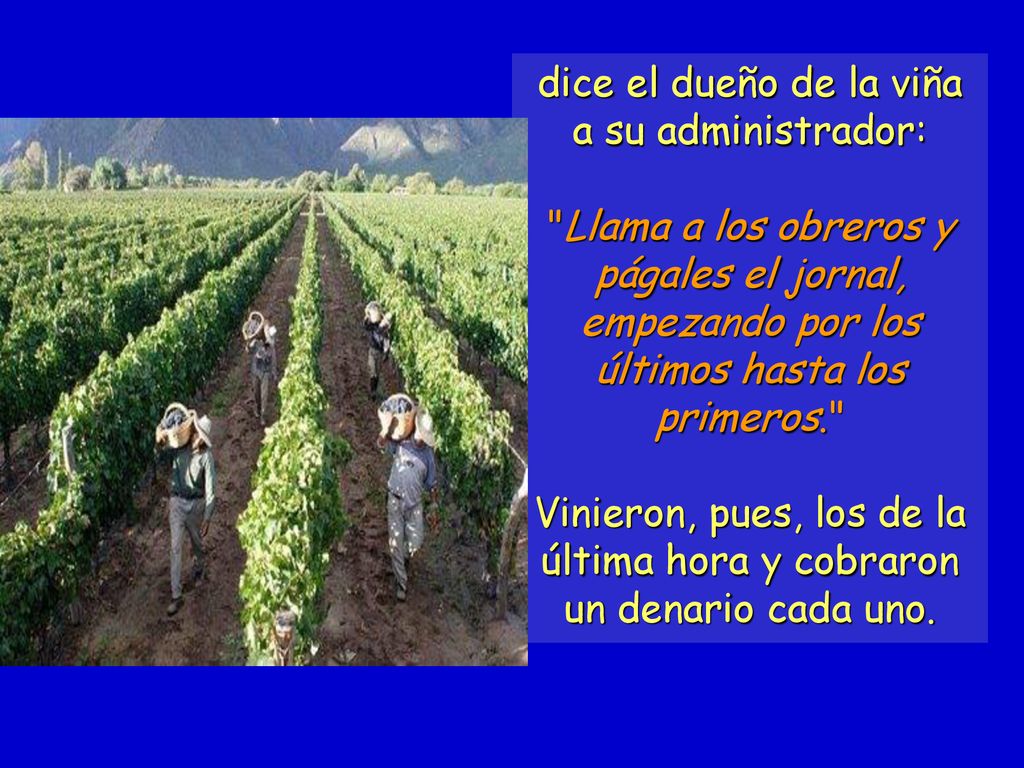 dice el dueño de la viña a su administrador: