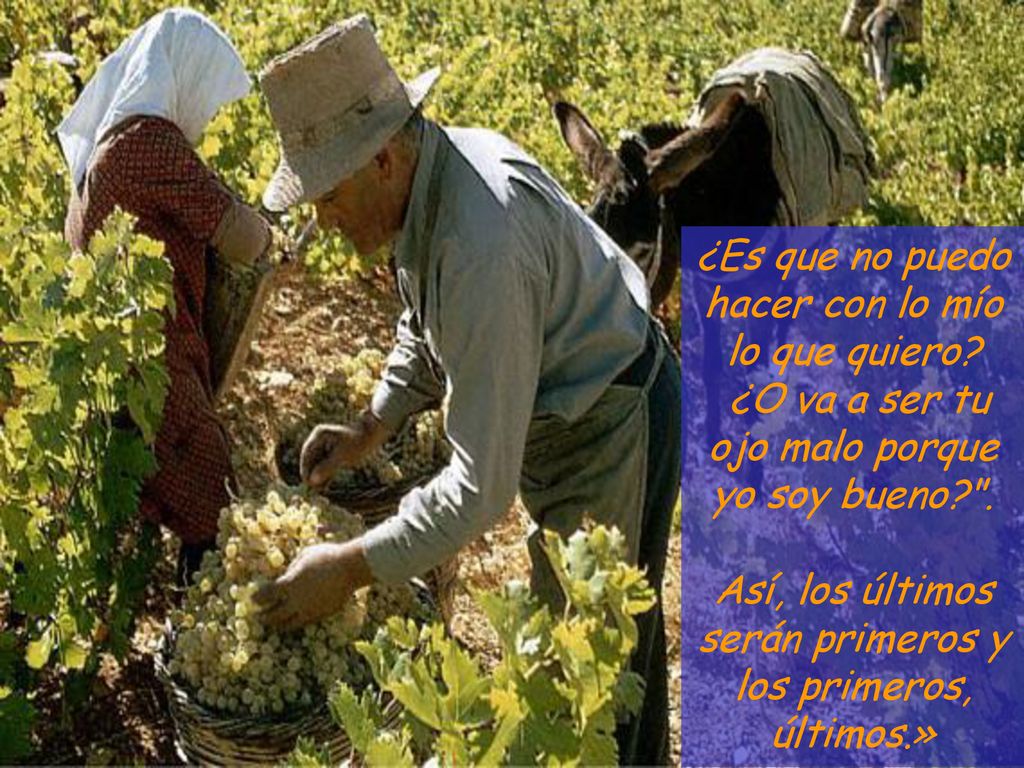¿Es que no puedo hacer con lo mío lo que quiero
