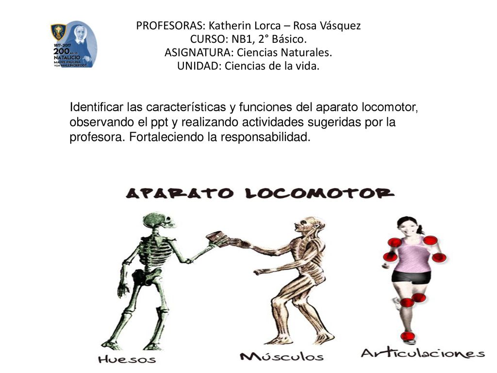 PROFESORAS: Katherin Lorca – Rosa Vásquez CURSO: NB1, 2° Básico