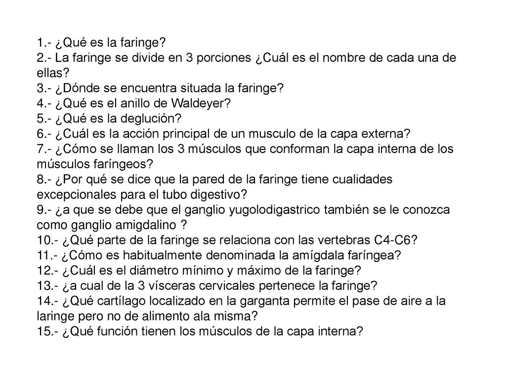 1.- ¿Qué es la faringe 2.- La faringe se divide en 3 porciones ¿Cuál es el nombre de cada una de ellas