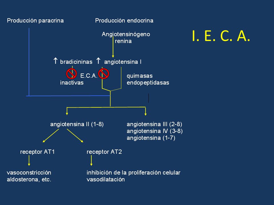 I. E. C. A.   Descubiertos a partir de veneno de serpiente
