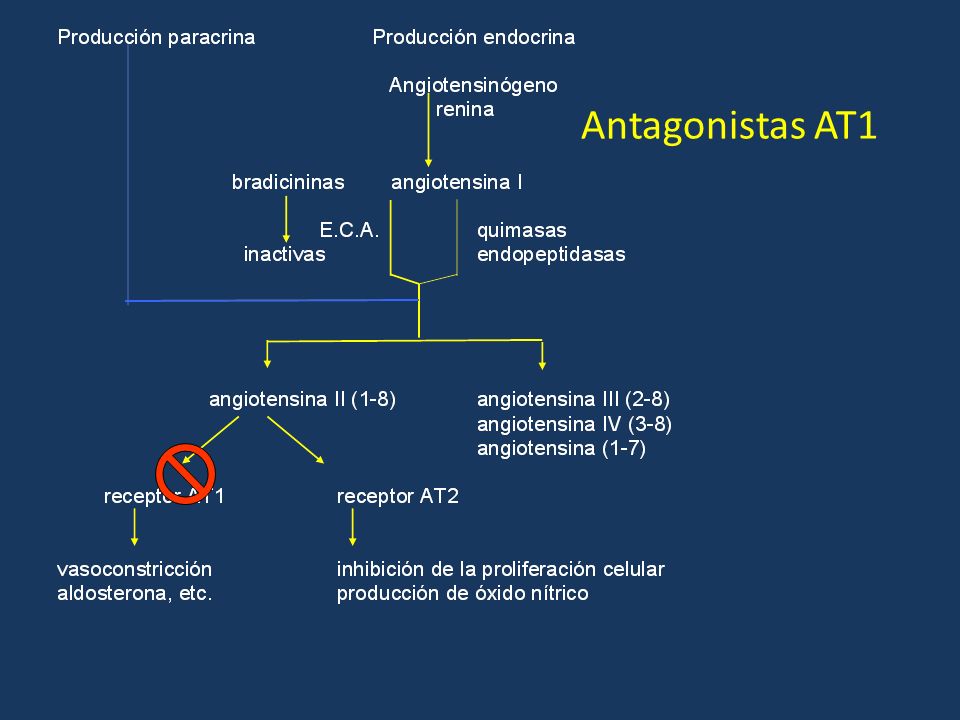 Antagonistas AT1 The AT2 subtype is found in the adrenal medulla, kidney, and CNS and may play a role in vascular development.