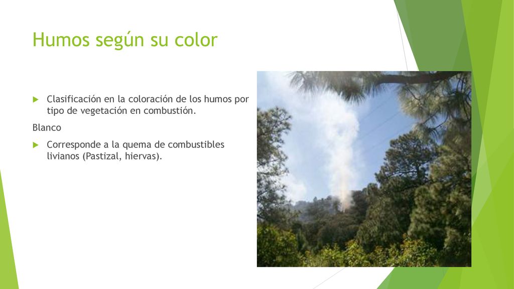 Humos según su color Clasificación en la coloración de los humos por tipo de vegetación en combustión.