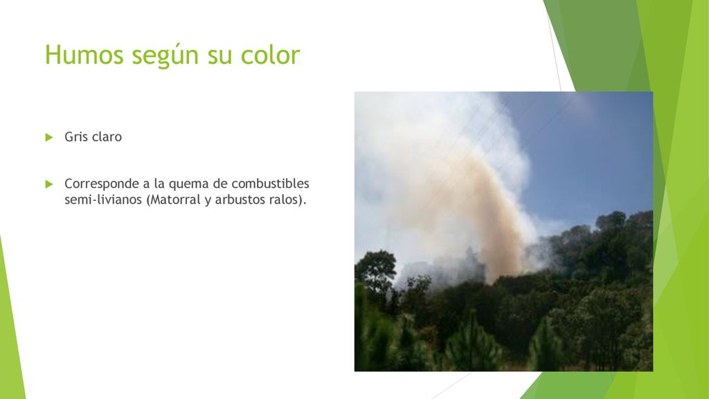 Humos según su color Gris claro