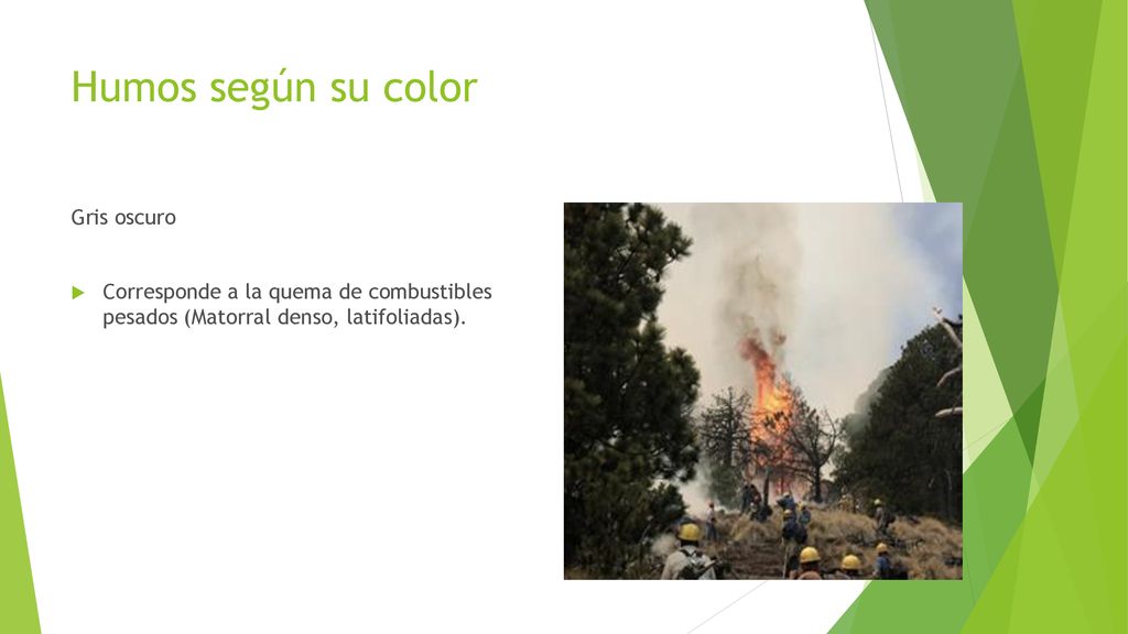 Humos según su color Gris oscuro