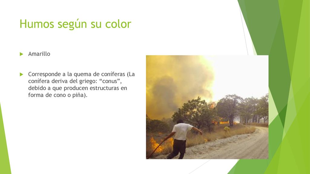 Humos según su color Amarillo