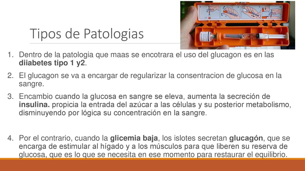 Tipos de Patologias Dentro de la patologia que maas se encotrara el uso del glucagon es en las diiabetes tipo 1 y2.