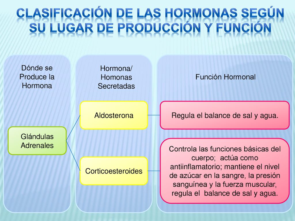 Clasificación de las hormonas según su lugar de producción y función