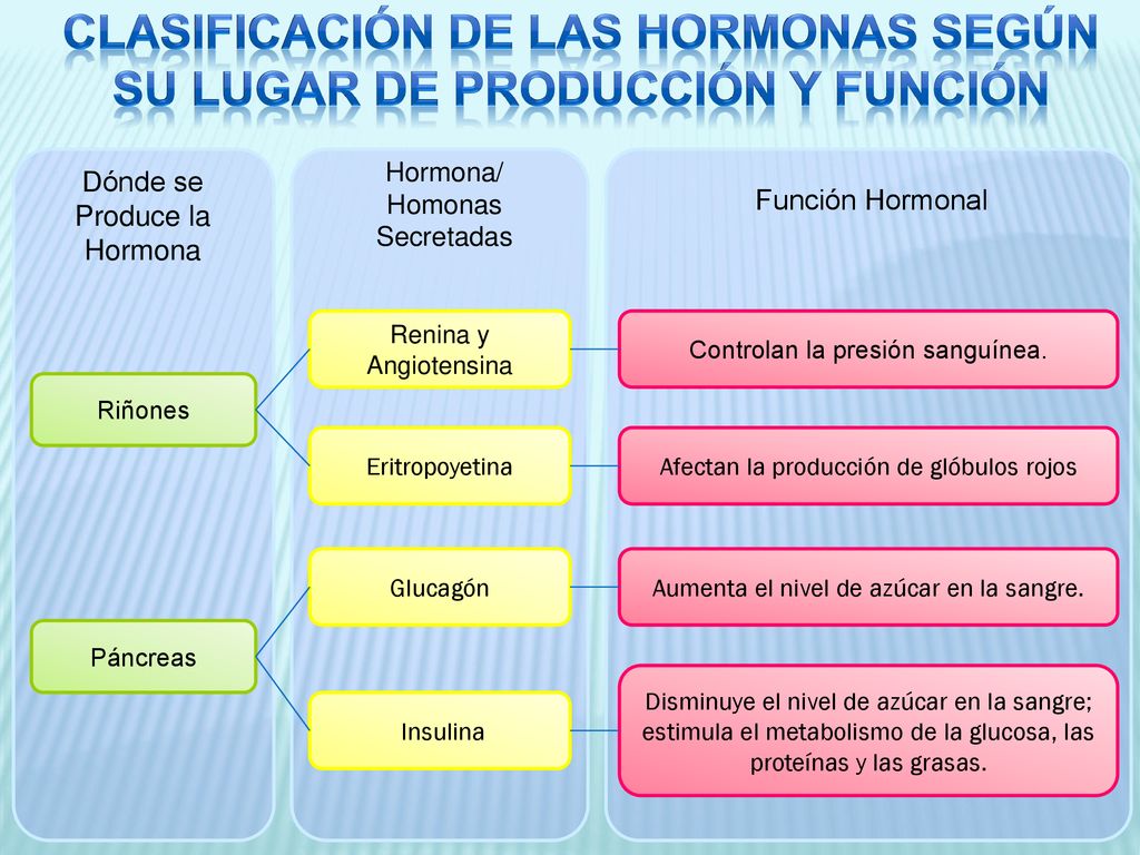 Clasificación de las hormonas según su lugar de producción y función