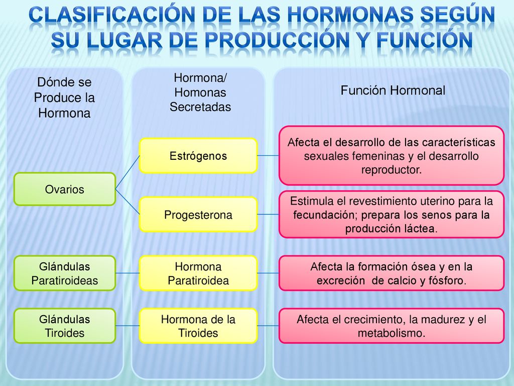 Clasificación de las hormonas según su lugar de producción y función