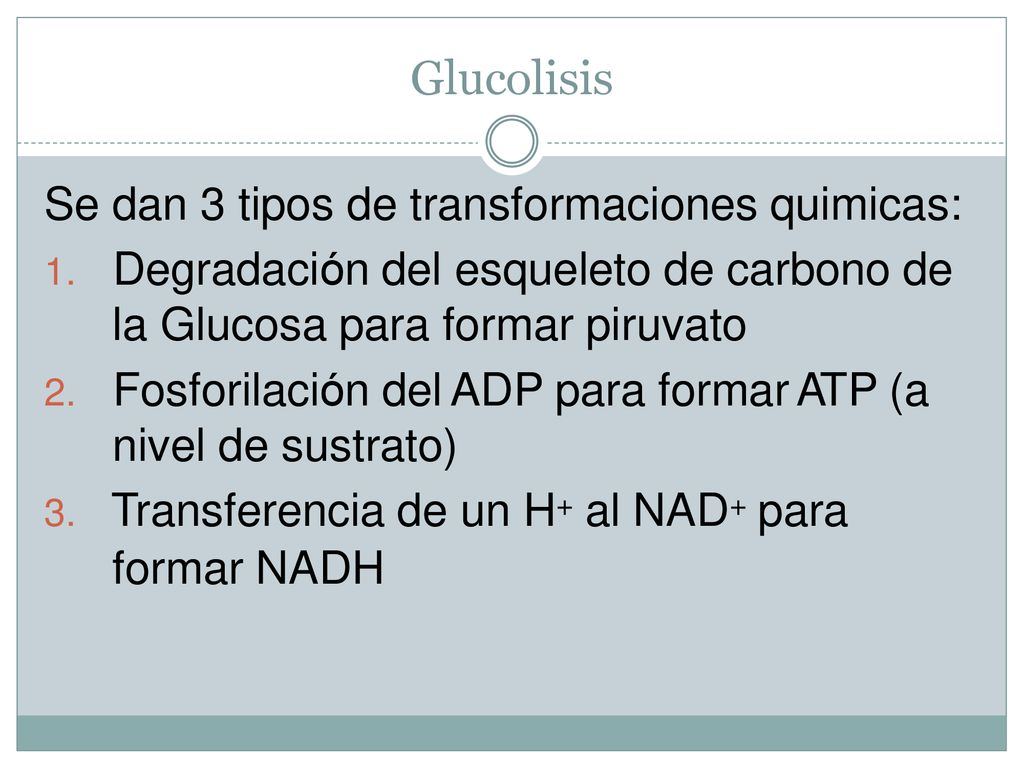 Glucolisis Se dan 3 tipos de transformaciones quimicas: