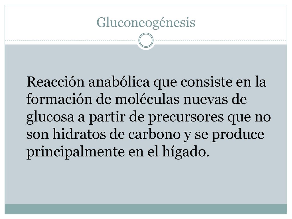 Reacción anabólica que consiste en la formación de moléculas nuevas de