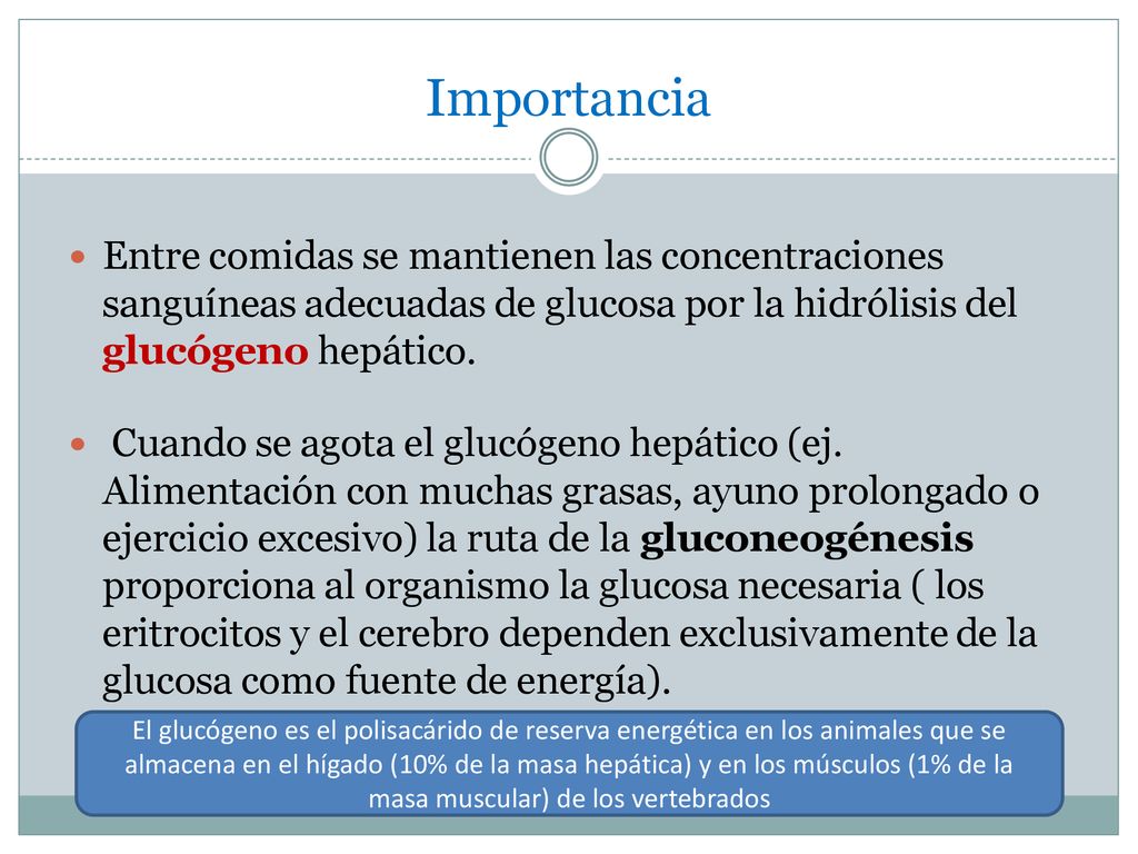 Importancia sanguíneas adecuadas de glucosa por la hidrólisis del