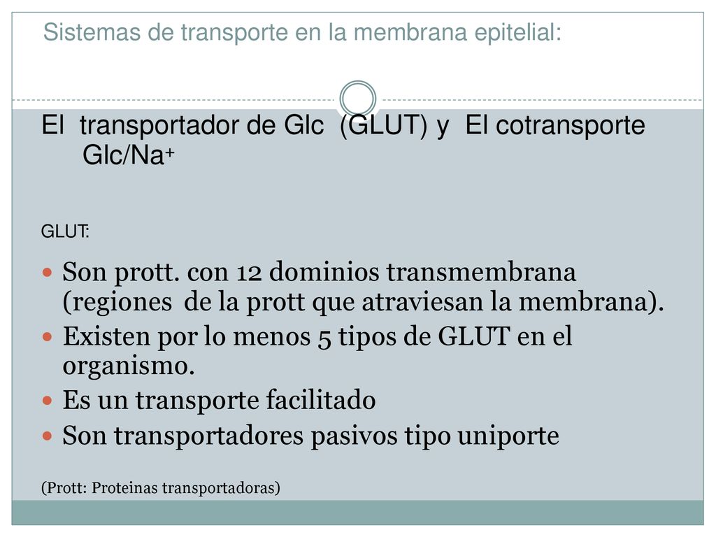 El transportador de Glc (GLUT) y El cotransporte Glc/Na+