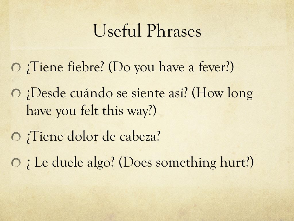 Useful Phrases ¿Tiene fiebre (Do you have a fever )