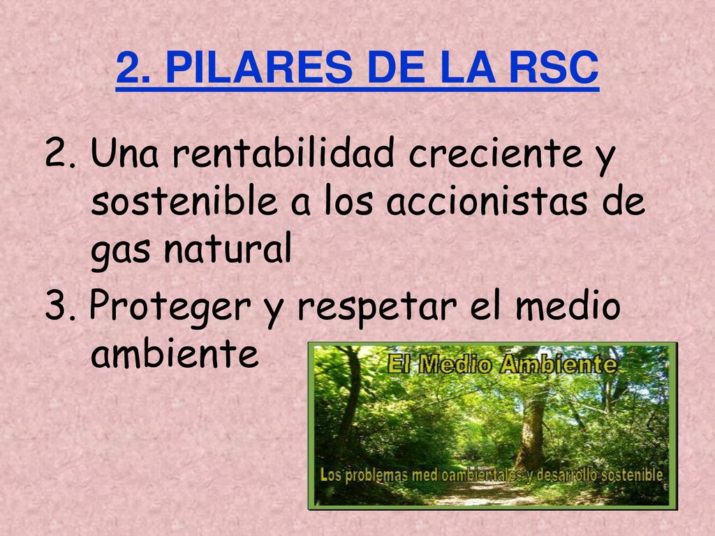 2. PILARES DE LA RSC 2. Una rentabilidad creciente y sostenible a los accionistas de gas natural.