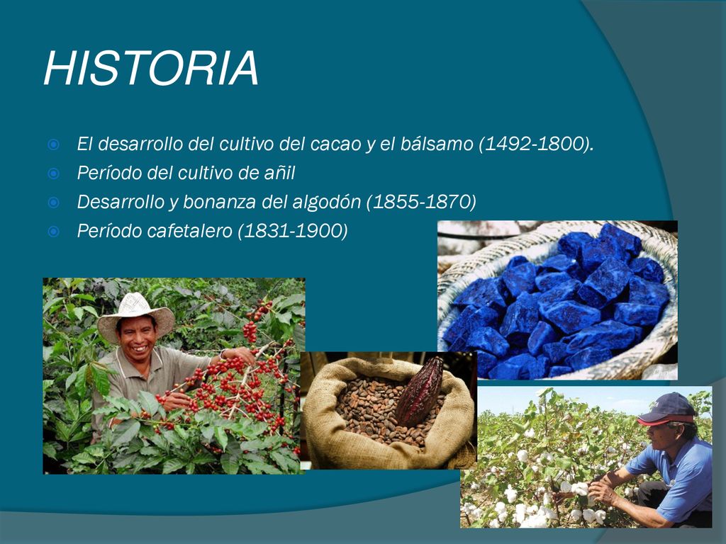 HISTORIA El desarrollo del cultivo del cacao y el bálsamo ( ).