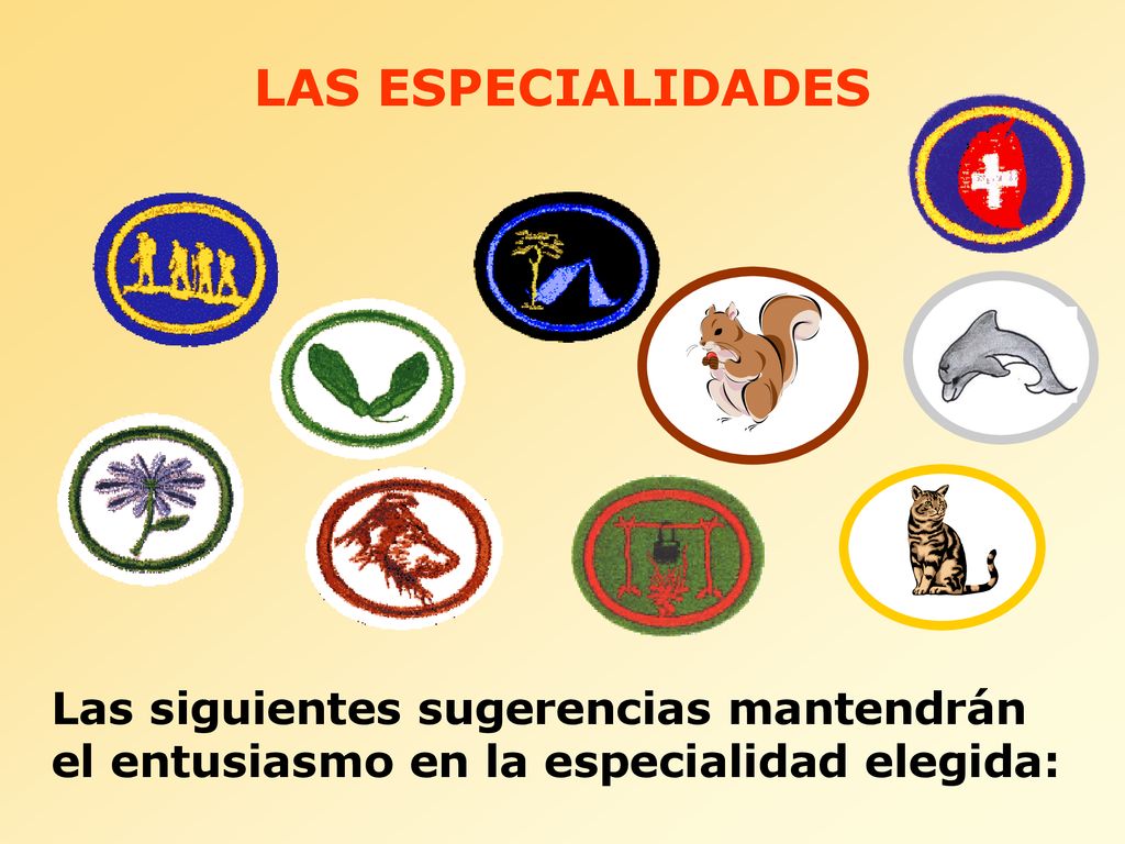 LAS ESPECIALIDADES Las siguientes sugerencias mantendrán el entusiasmo en la especialidad elegida: