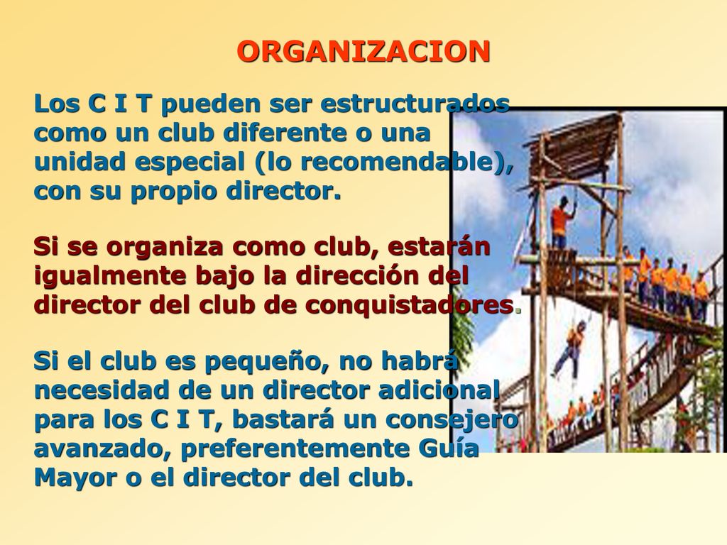 ORGANIZACION Los C I T pueden ser estructurados como un club diferente o una unidad especial (lo recomendable), con su propio director.