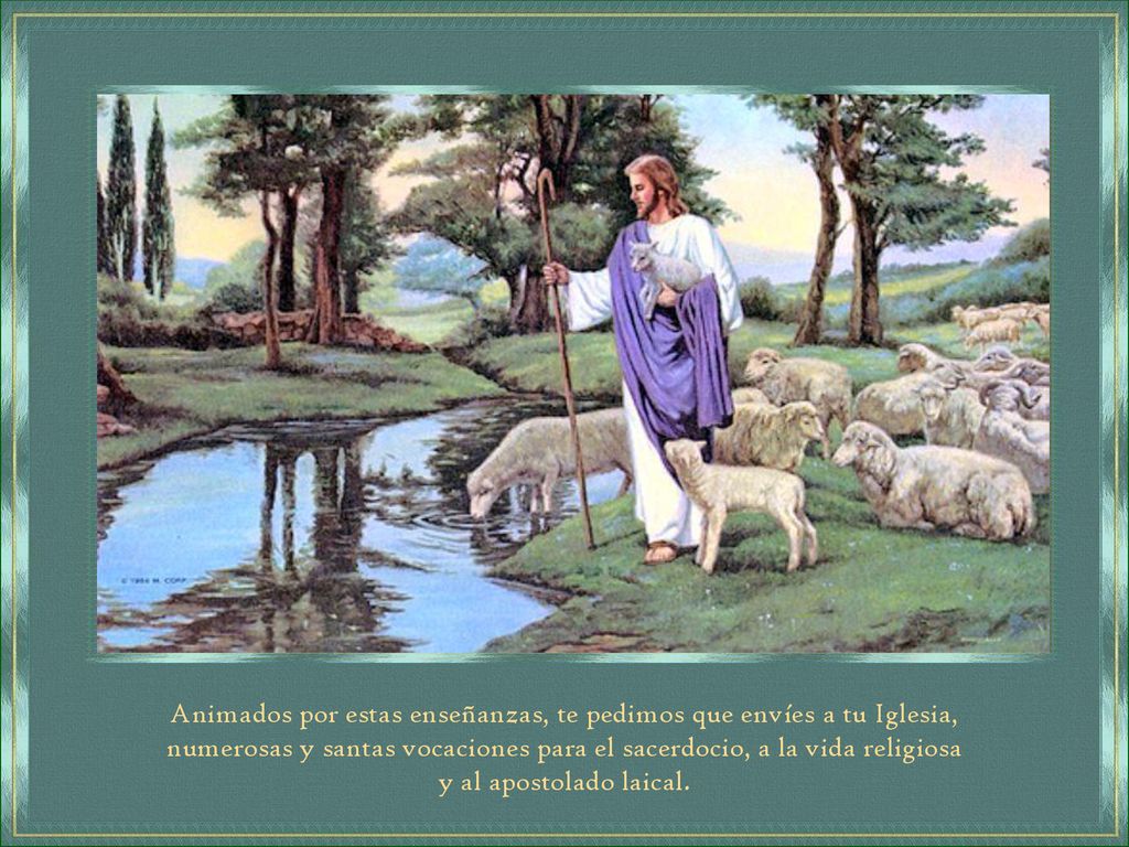 Animados por estas enseñanzas, te pedimos que envíes a tu Iglesia,