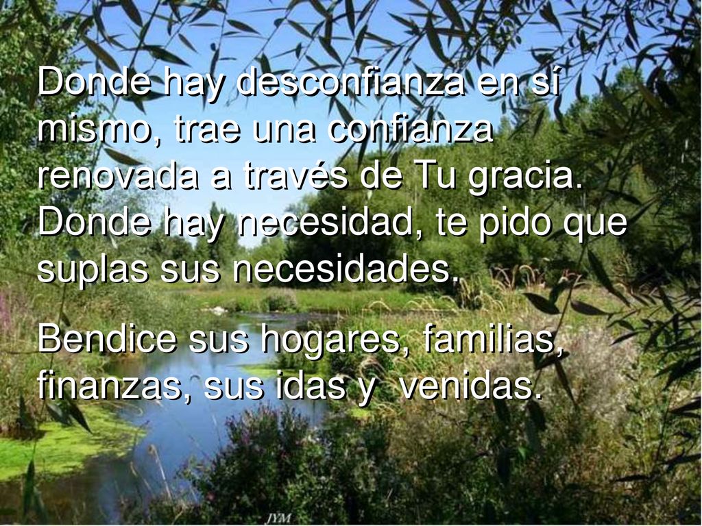 Donde hay desconfianza en sí mismo, trae una confianza renovada a través de Tu gracia. Donde hay necesidad, te pido que suplas sus necesidades.