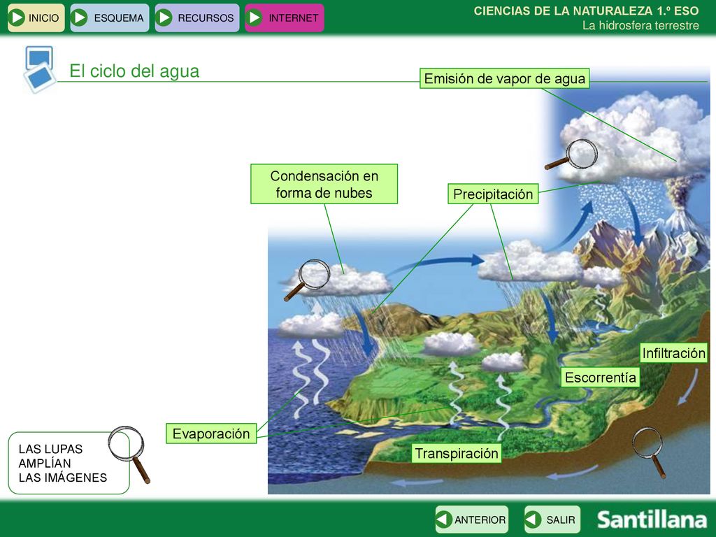 El ciclo del agua Emisión de vapor de agua