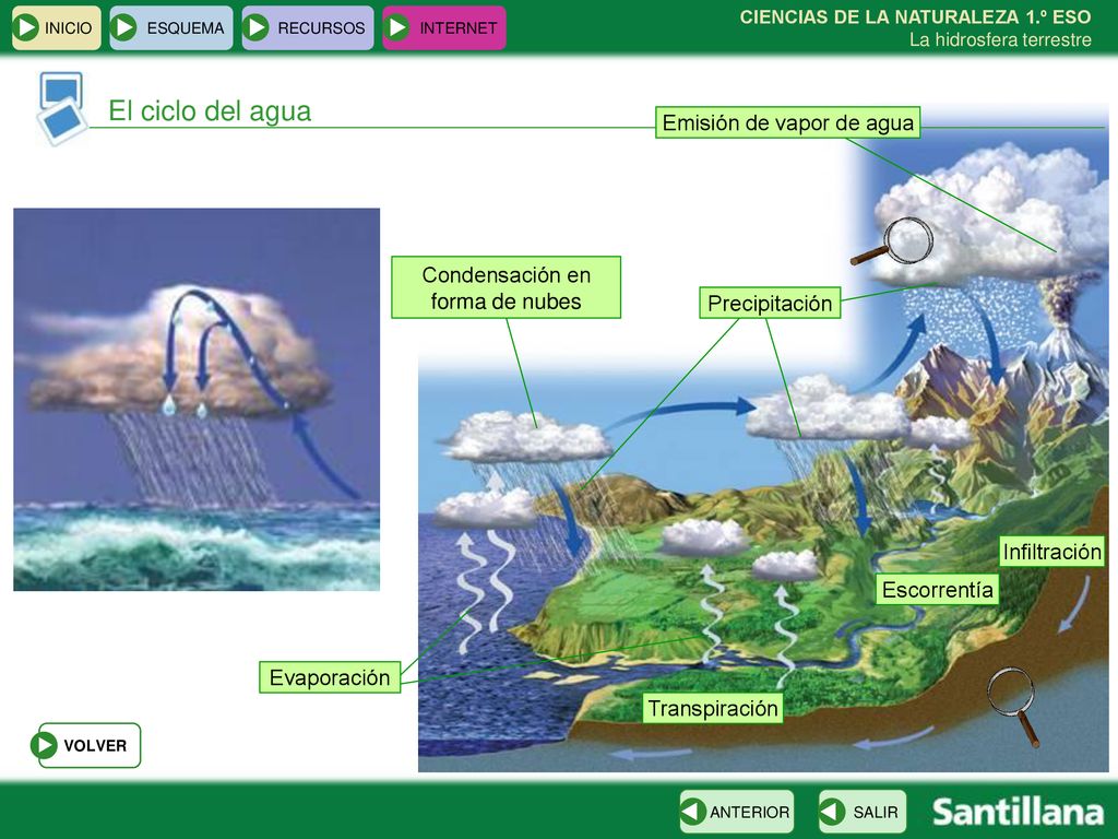 El ciclo del agua Emisión de vapor de agua