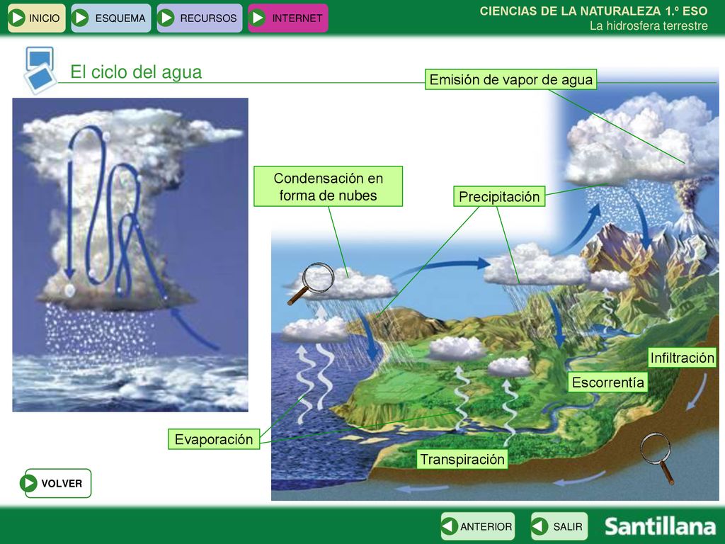 El ciclo del agua Emisión de vapor de agua