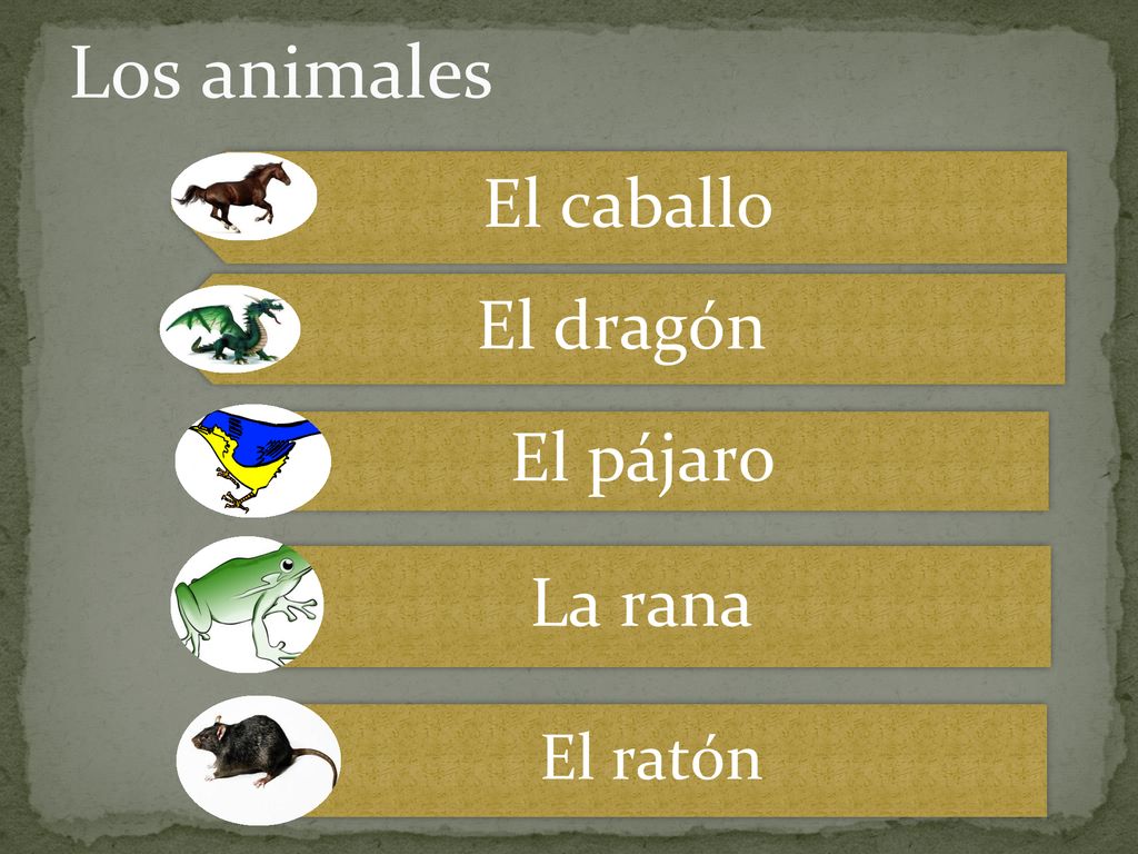 Los animales El caballo El dragón El pájaro La rana El ratón