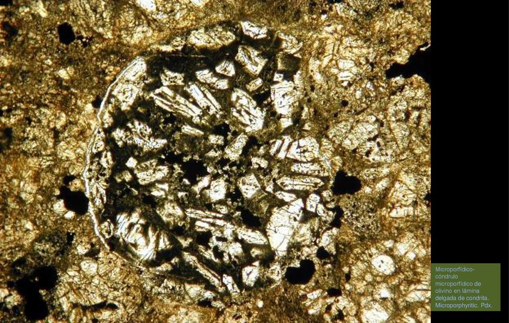 Microporfídico- cóndrulo microporfídico de olivino en lámina delgada de condrita. Microporphyritic. Pdx.