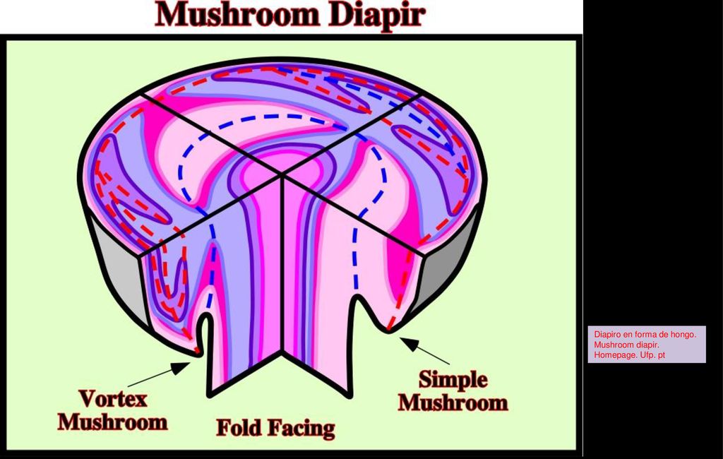 Diapiro en forma de hongo. Mushroom diapir. Homepage. Ufp. pt