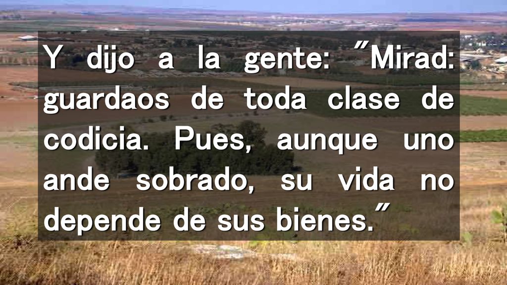 Y dijo a la gente: Mirad: guardaos de toda clase de codicia