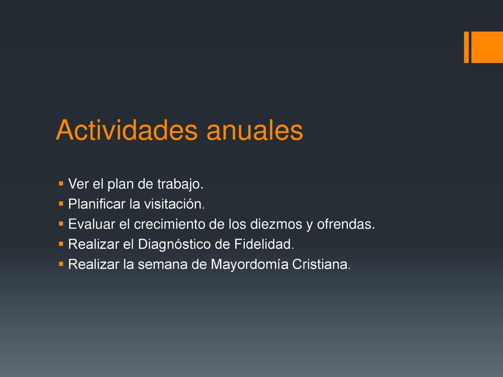 Actividades anuales Ver el plan de trabajo. Planificar la visitación.