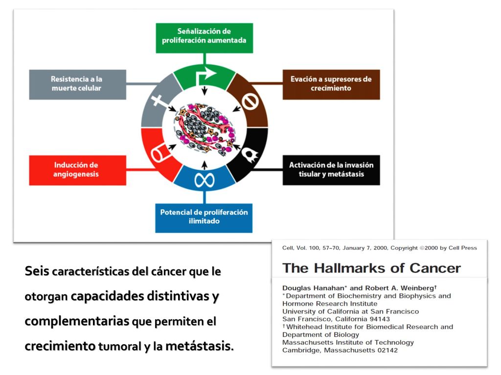 Seis características del cáncer que le otorgan capacidades distintivas y complementarias que permiten el crecimiento tumoral y la metástasis.