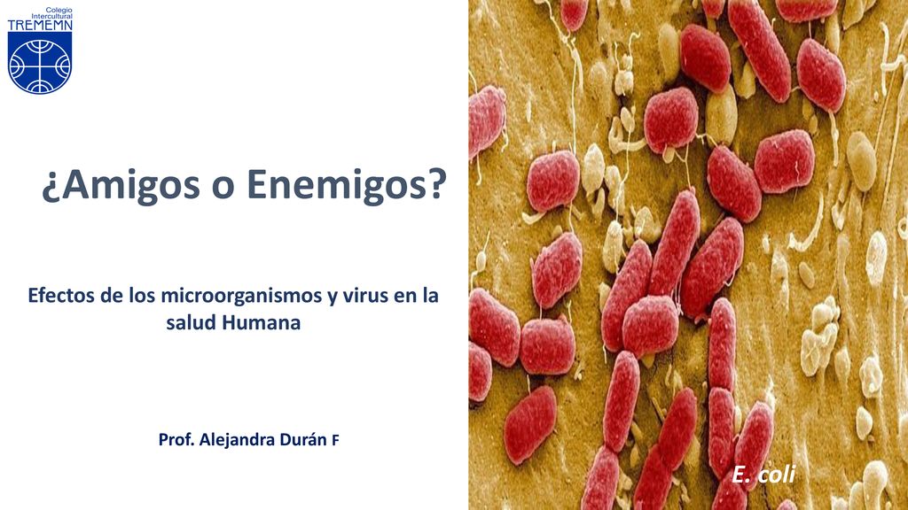 Efectos de los microorganismos y virus en la salud Humana