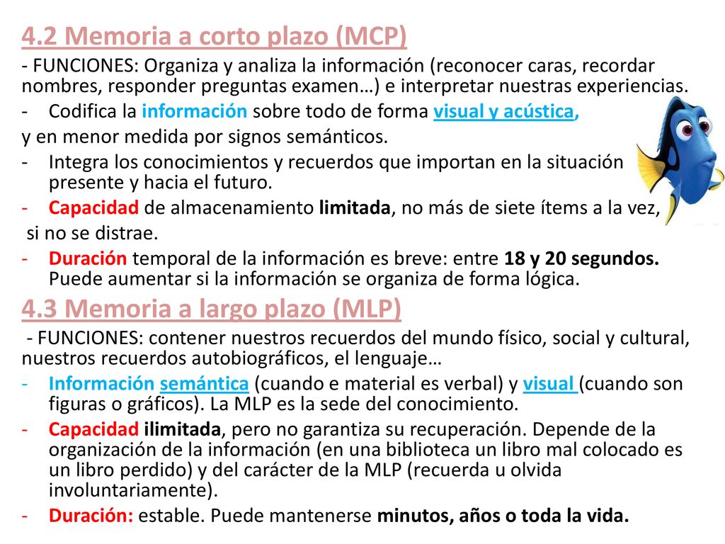 4.2 Memoria a corto plazo (MCP)
