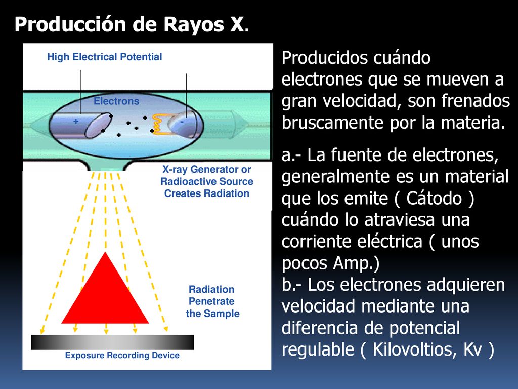 Producción de Rayos X. High Electrical Potential. Electrons. - + X-ray Generator or Radioactive Source Creates Radiation.