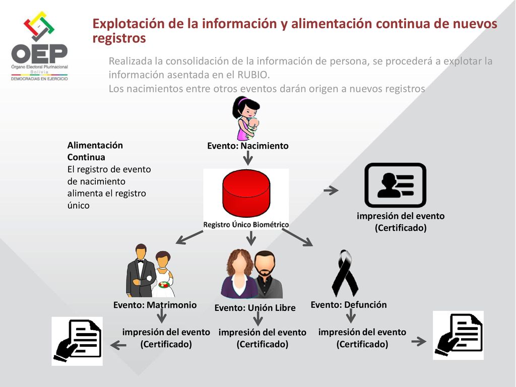 Explotación de la información y alimentación continua de nuevos registros