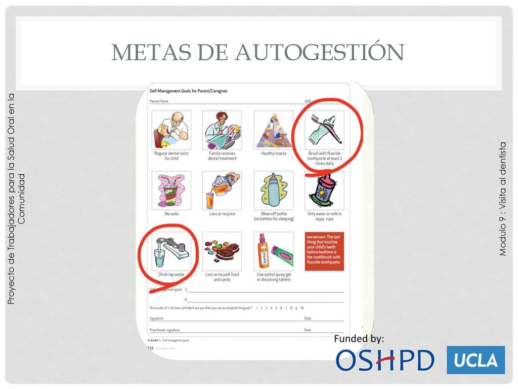 METAS DE AUTOGESTIÓN Proyecto de Trabajadores para la Salud Oral en la Comunidad.