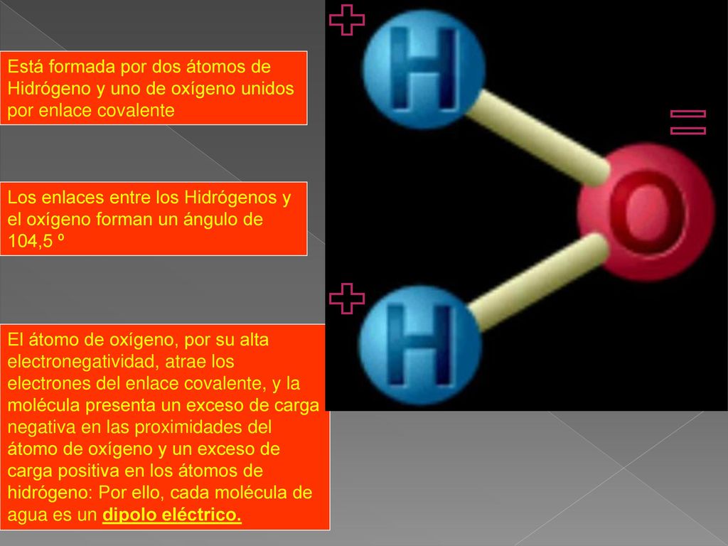 Está formada por dos átomos de Hidrógeno y uno de oxígeno unidos por enlace covalente