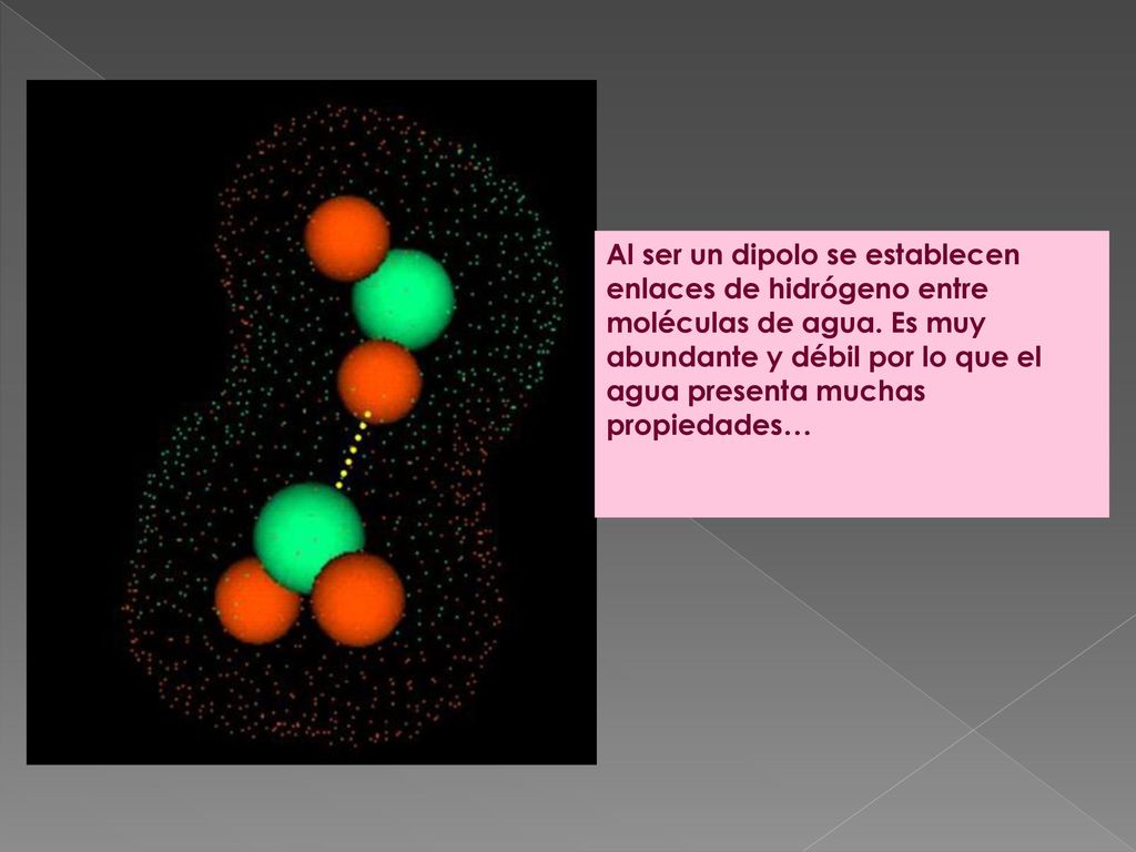 Al ser un dipolo se establecen enlaces de hidrógeno entre moléculas de agua.