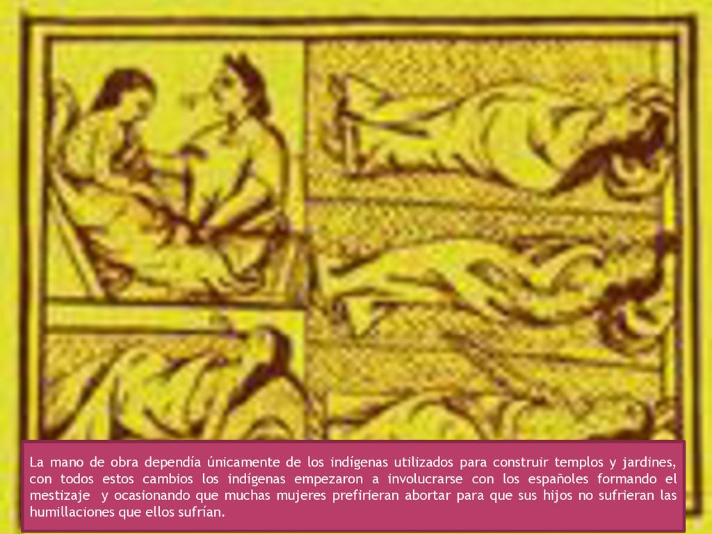 La mano de obra dependía únicamente de los indígenas utilizados para construir templos y jardines, con todos estos cambios los indígenas empezaron a involucrarse con los españoles formando el mestizaje y ocasionando que muchas mujeres prefirieran abortar para que sus hijos no sufrieran las humillaciones que ellos sufrían.