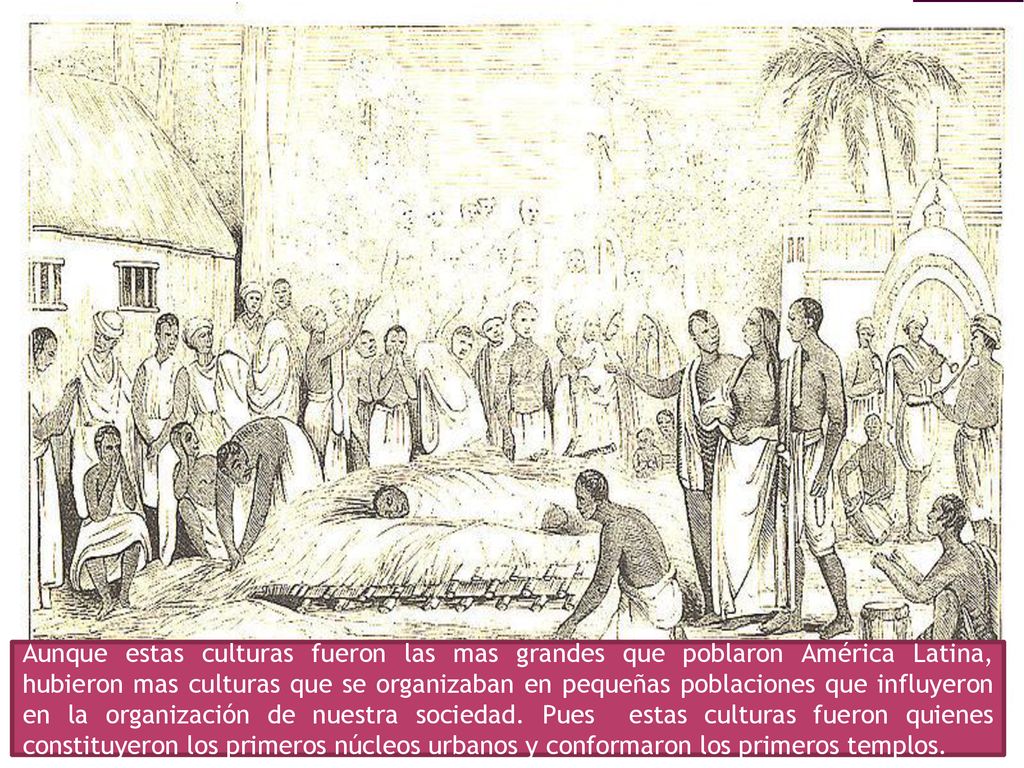 Aunque estas culturas fueron las mas grandes que poblaron América Latina, hubieron mas culturas que se organizaban en pequeñas poblaciones que influyeron en la organización de nuestra sociedad.